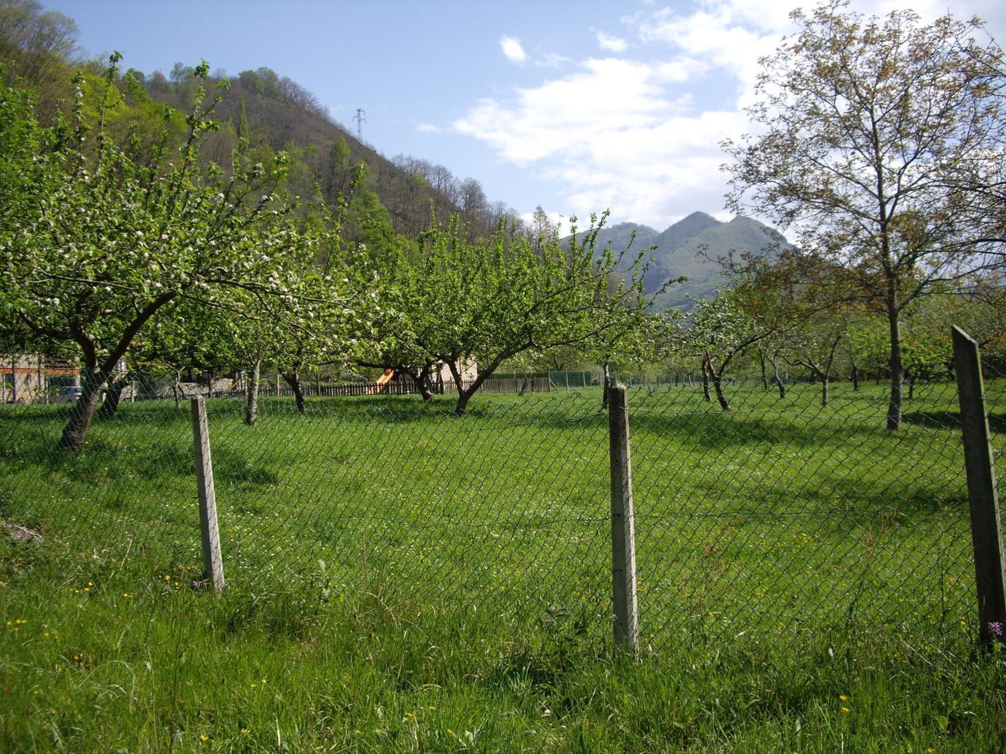 Casa Rural El Canton Onís Eksteriør billede